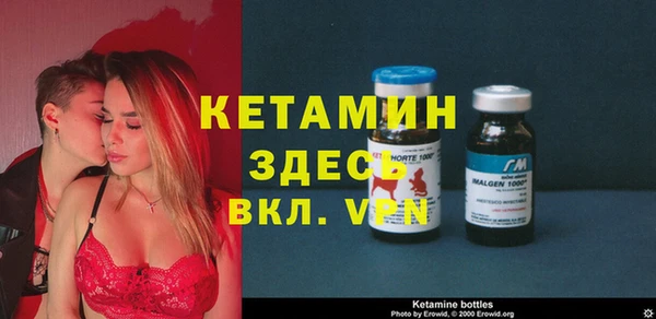 стаф Алексин