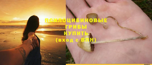 стафф Алзамай
