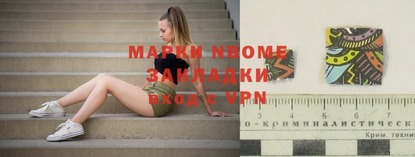 стаф Алексин