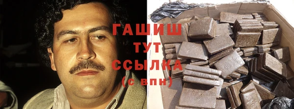стафф Алзамай