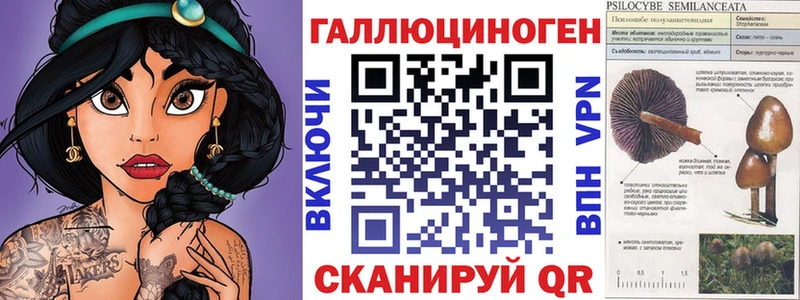 Галлюциногенные грибы Psilocybe  Первоуральск 